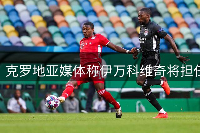 克罗地亚媒体称伊万科维奇将担任阿联酋足球顾问