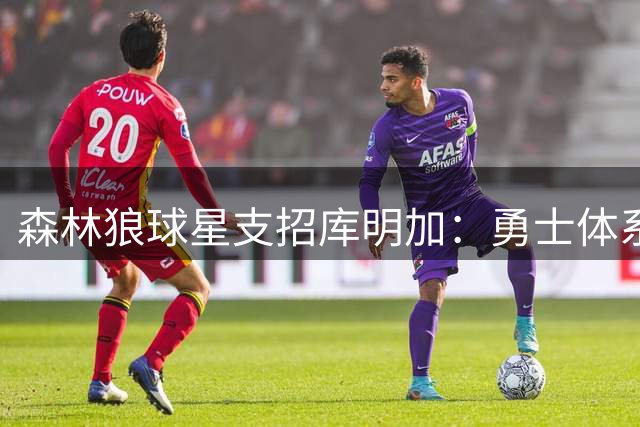 森林狼球星支招库明加：勇士体系不适合你，我们防不住你