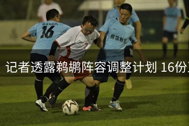记者透露鹈鹕阵容调整计划 16份正式合同待优化
